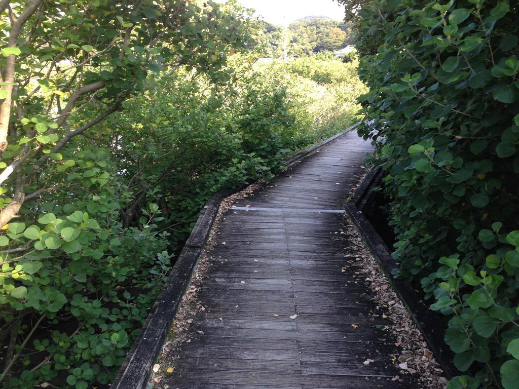 Retreat Wabi-Sabi - Walk To Ohama Beach - Max 12 Ppl Shimoda  Εξωτερικό φωτογραφία